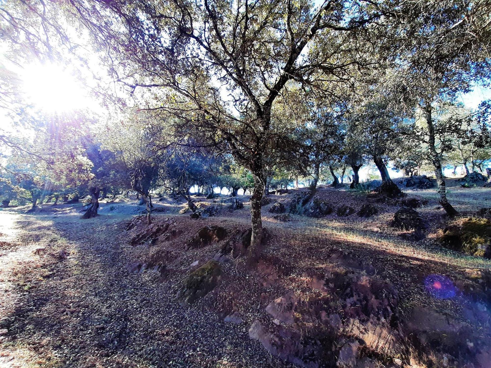 Casa Rural Gurumelo Aracena Eksteriør bilde