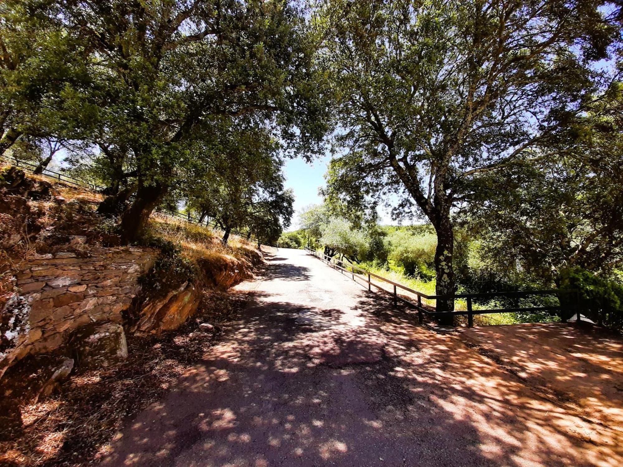 Casa Rural Gurumelo Aracena Eksteriør bilde